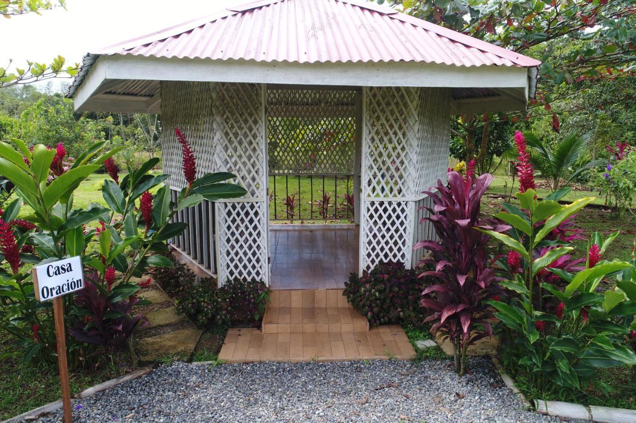 Hope Garden, Sarapiqui, We Connect You With The Sarapiqui Tropical Forest Exterior photo