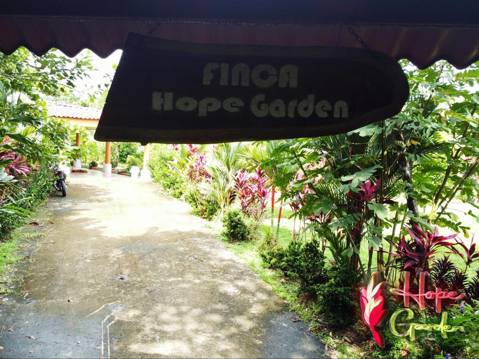 Hope Garden, Sarapiqui, We Connect You With The Sarapiqui Tropical Forest Exterior photo